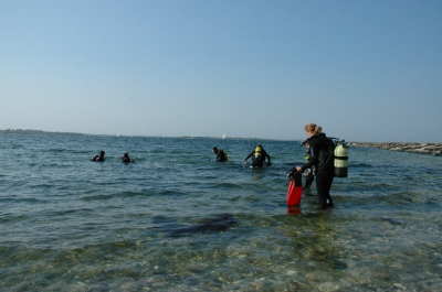 DSC_0062 - verkleind
