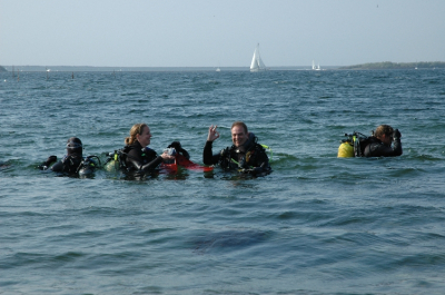 DSC_0068 - verkleind
