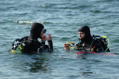 DSC_0071 - verkleind
