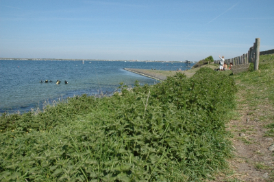 DSC_0194 - verkleind
